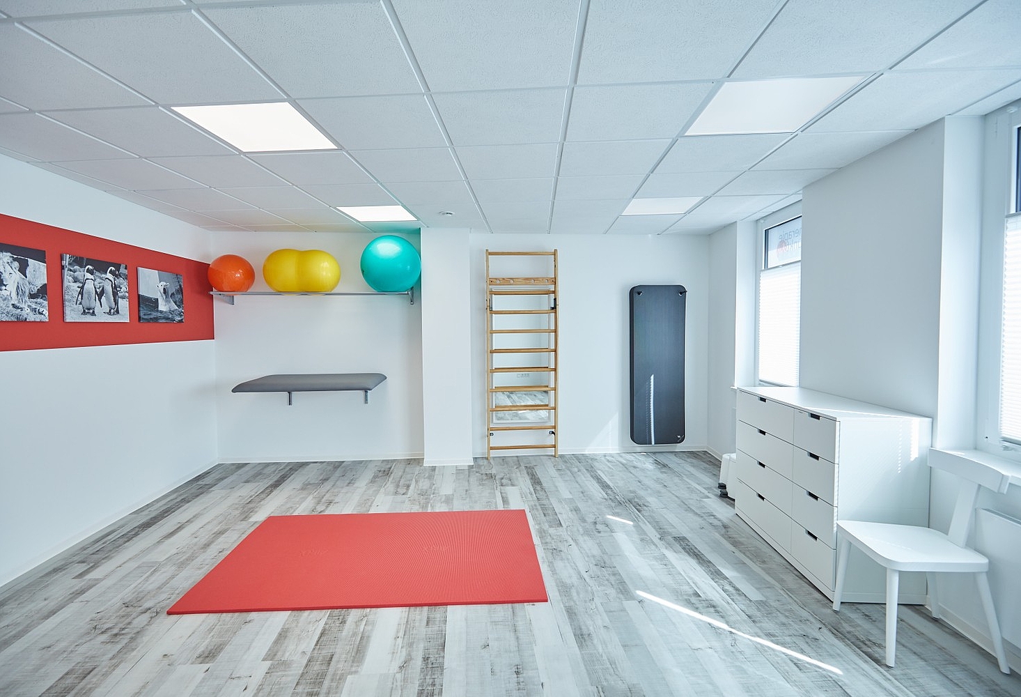 großzügiges Behandlungszimmer, Gymnastikbälle, Matte